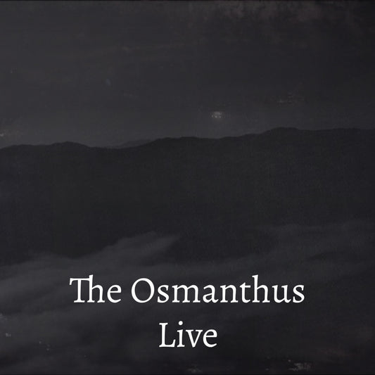 Osmanthus Fragrans (Live)