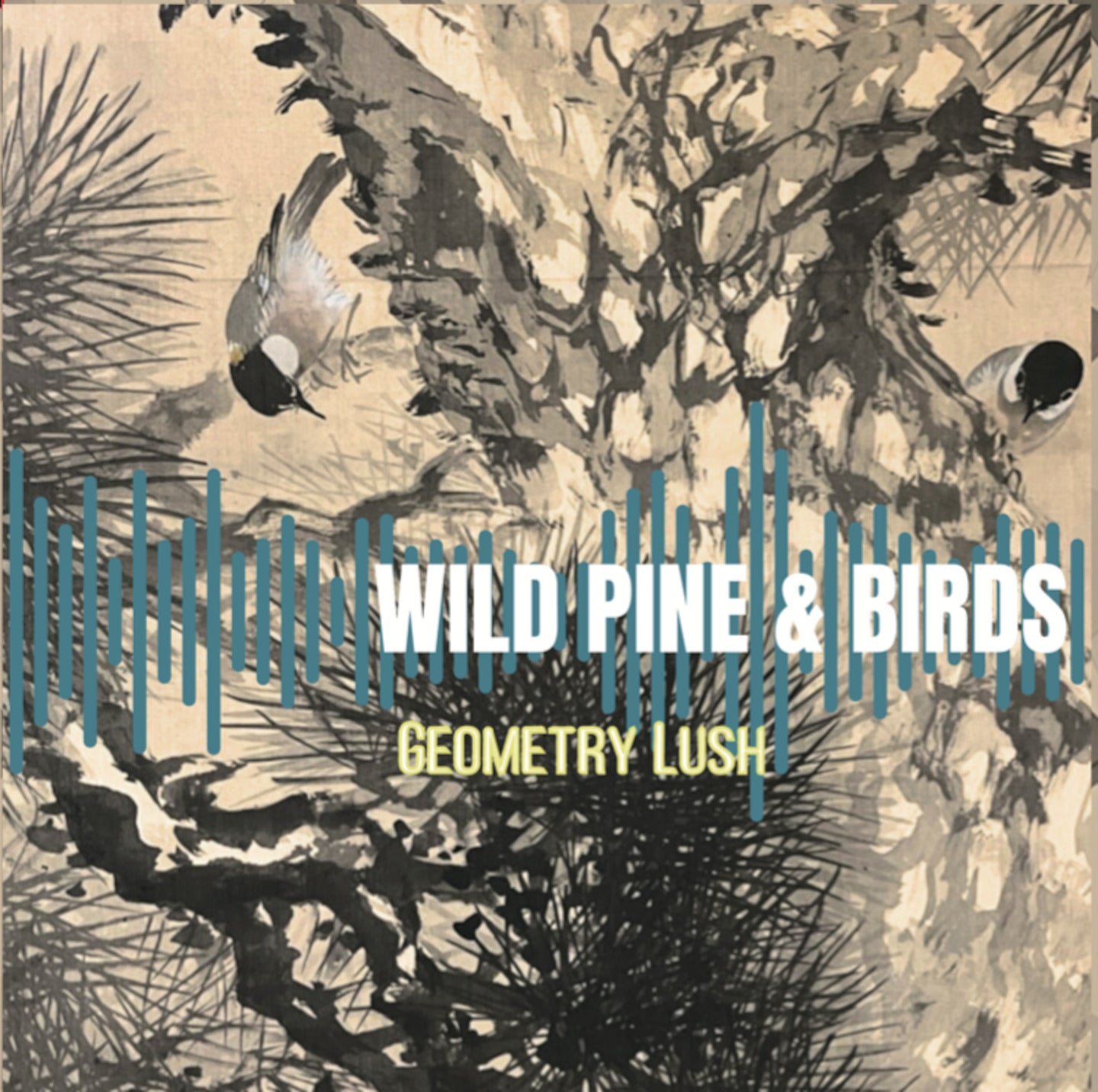 Wild,Pine&Birds/Geometry Lush (Digital Download)